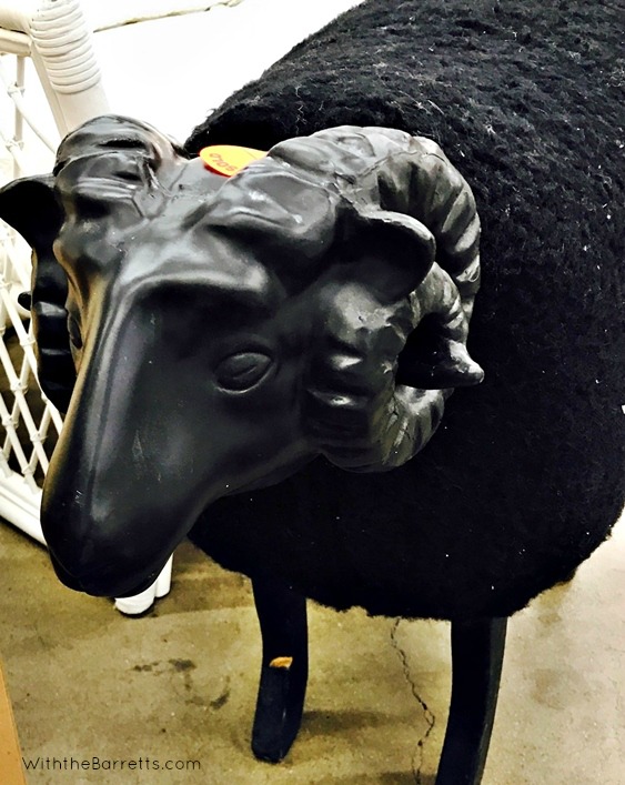 Black Ram