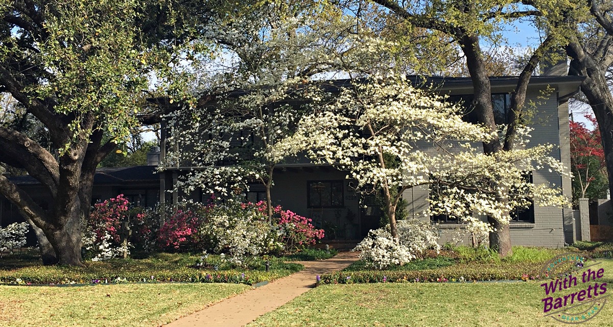Springtime Fort Worth