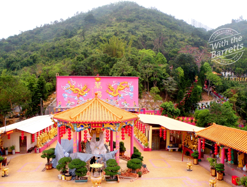 view from the pagoda