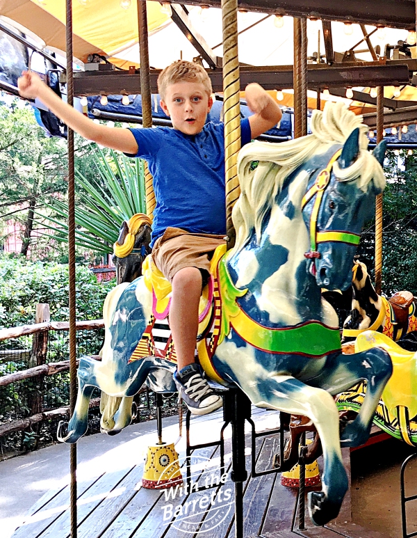Older grandboy on painthorse