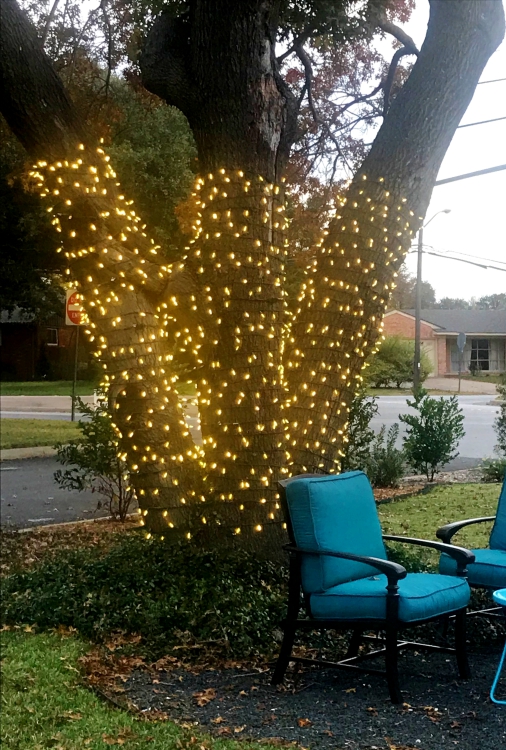 Tree Lights