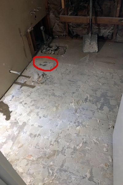 P-trap location